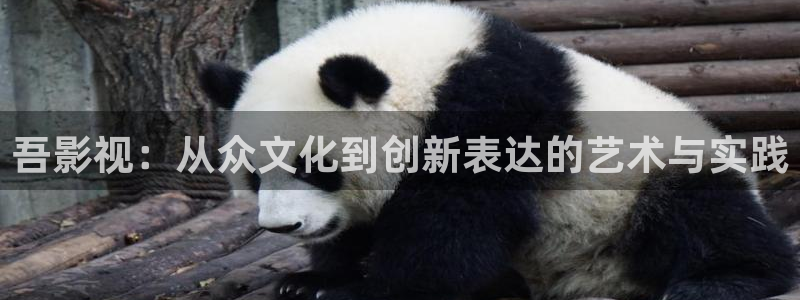 桔子影院在線：吾影視：從眾文化到創(chuàng)新表達(dá)的藝術(shù)與實(shí)踐